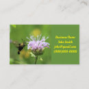 Recherche de mois cartes visite Insecte