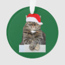 Zoek naar circle ornamenten Kat