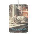 Recherche de beau voiture accessoires Animaux
