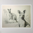 Recherche de kangaroo posters Animaux