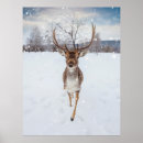 Recherche de reindeer posters Faune