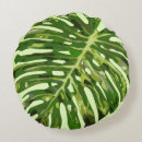 Recherche de philodendron coussins Tropical