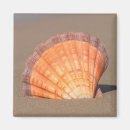 Recherche de feston magnets Plage