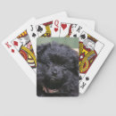 Recherche de spitz jeux de cartes Pomeranian