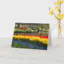 Recherche de keukenhof Fleurs