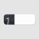 Recherche de autruche bureau fournitures Zoo