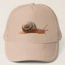 Recherche de insecte casquettes Mignon