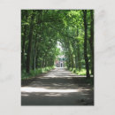 Recherche de ruelle cartes postales Route