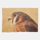 Recherche de rapace cuisine linges Faucon