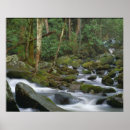 Recherche de fumeux photographie Nature