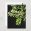 Recherche de sapin noël cartes postales Tendance