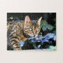 Zoek naar bont puzzels Mooi