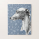 Recherche de greyhound puzzles Whippet