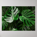 Recherche de motif palmier posters Tropical