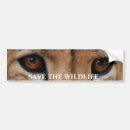 Recherche de guepard voiture autocollants Guépard