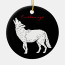 Recherche de loup de prairie Animal