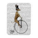 Recherche de levrier magnets Bicyclette
