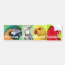 Recherche de perroquet voiture autocollants Cockatiel