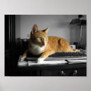 Recherche de clavier posters Humour