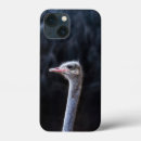 Recherche de autruches iphone coques Animal