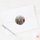 Recherche de créez votre propre conception autocollants Newly weds