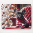 Recherche de taureau rouge Dog