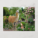 Recherche de gigi cartes postales Pour tous