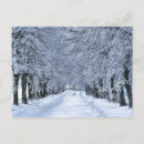 Recherche de givrée cartes postales Arbre