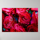 Recherche de fleurs rouges posters Peinture murale