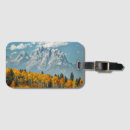 Recherche de montagnes de teton Forêt