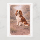 Recherche de cavaliers cartes postales Vintage