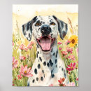 Recherche de dalmatien art Dalmate