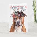 Recherche de terrier de pitbull Animaux domestiques