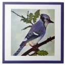 Recherche de oiseaux vintages carreaux Aquarelle