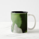 Recherche de hortensias tasses Nature