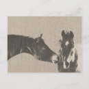 Recherche de gélatine cartes postales Étalon