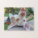 Recherche de video game puzzles Pour tous