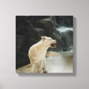 Zoek naar white wolf kunst Wolven