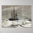 Zoek naar noordpool posters Polair