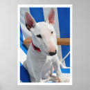 Recherche de chien de bull terrier art Amoureux de les chiens