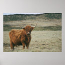 Zoek naar vintage koe kunst Vee