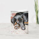 Recherche de pinschers vœux cartes Chien