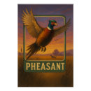 Recherche de faisan posters Nature