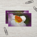 Recherche de narcisse cartes visite Printemps