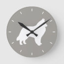 Recherche de berger horloges Chien