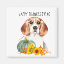 Recherche de chien beagle magnets Portrait