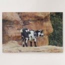 Zoek naar geiten puzzels Bergen