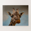 Zoek naar giraffe puzzels Dierentuin