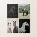 Recherche de équestre puzzles Équitation
