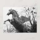 Zoek naar beeld briefkaarten Paard